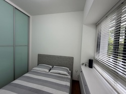 Terrene At Bukit Timah (D21), Condominium #565646041